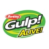 Gulp Alive