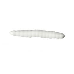 Gulp Alive Floor worm -Caiman 1189279 White